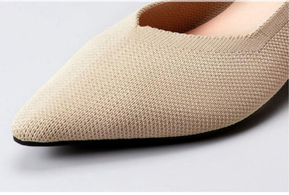 Pointed Toe Flexi-Flats