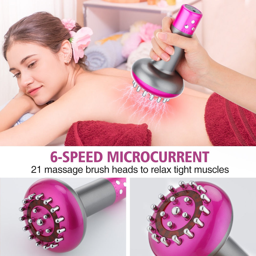 EMS Meridian Brush